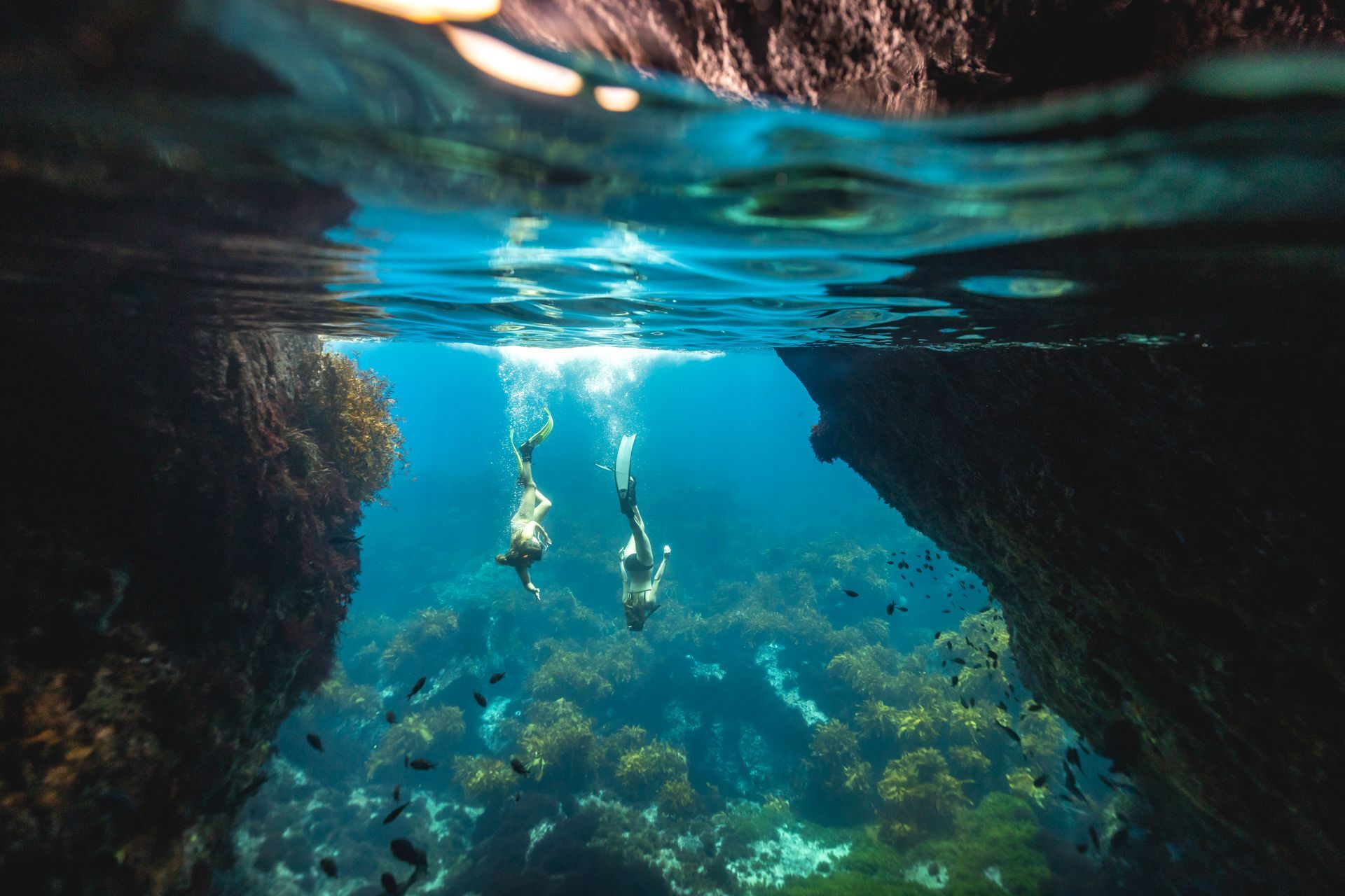 235301 poor knights islands northland web 1920