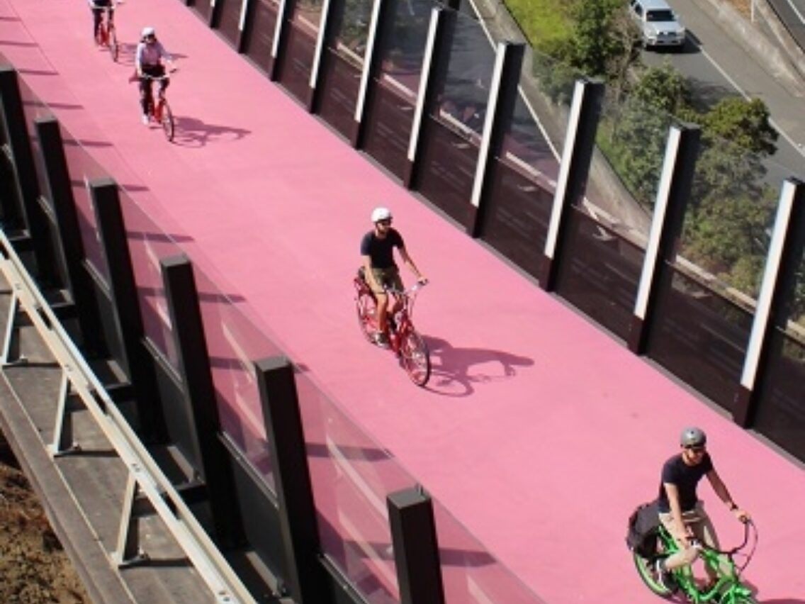 Auckland cycling pink pathway