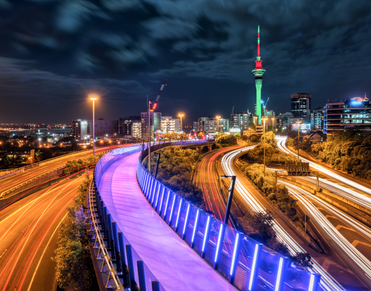 Auckland pink bikelane