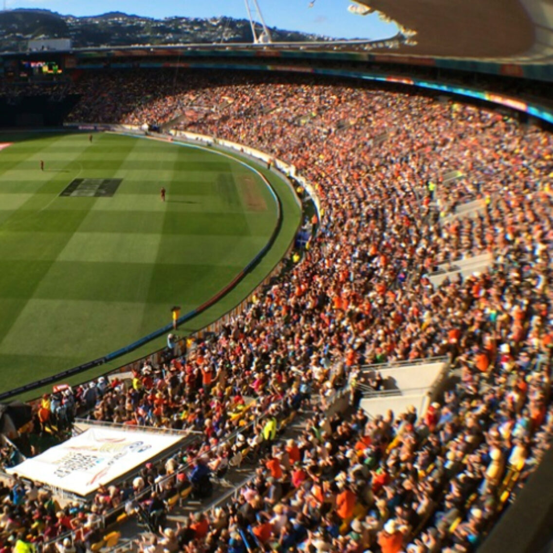 Wellington S Ky Stadium 500x500