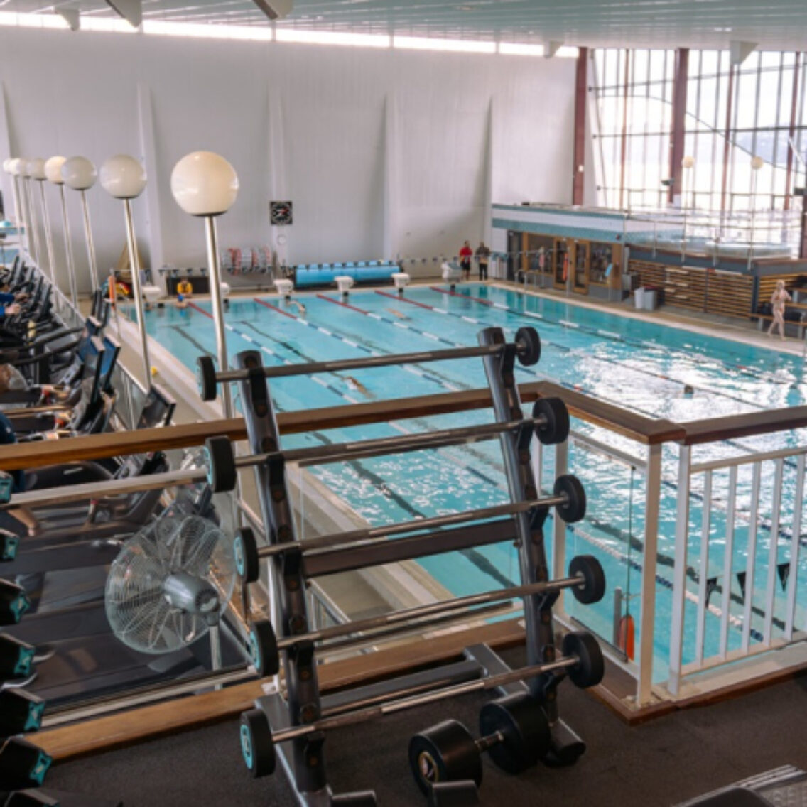 Freyberg gym 500x500