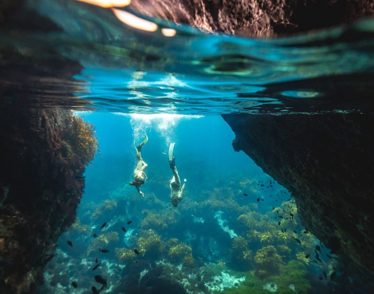 235301 poor knights islands northland web 1920