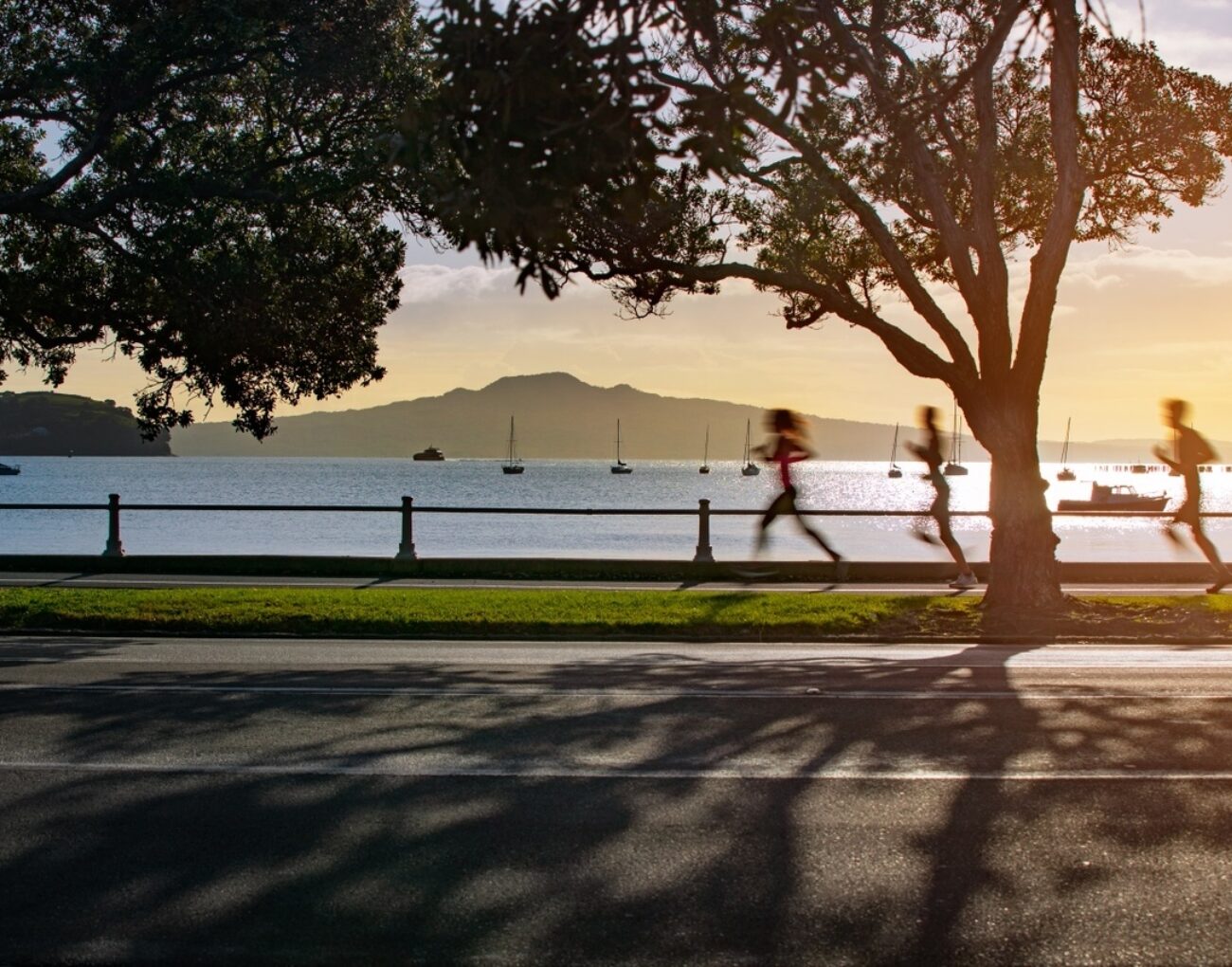 AUCKLAND ATEED Tamaki Drive 01