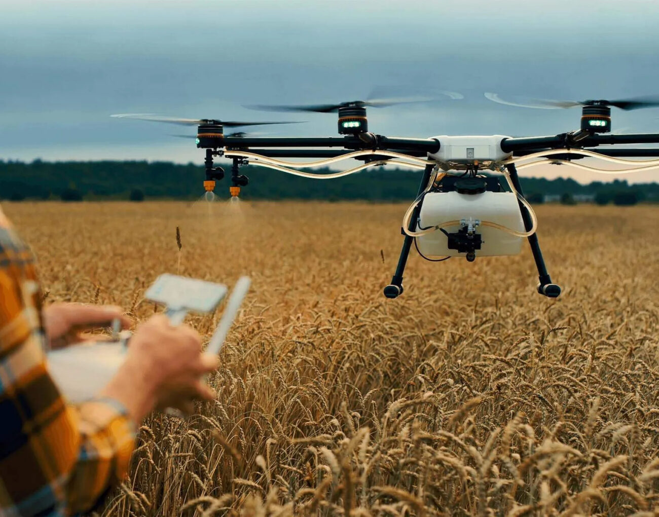 Bioeconomy Credit Iasuj Za