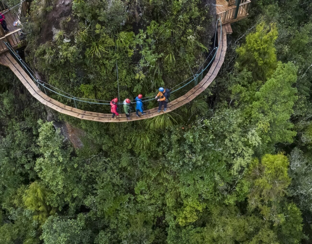 Rotorua Canopy Tours Ultimate D 37 large
