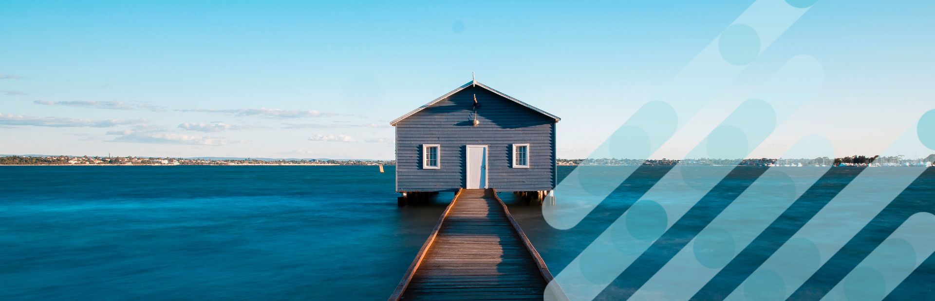 ANZAP 2027 Contact us