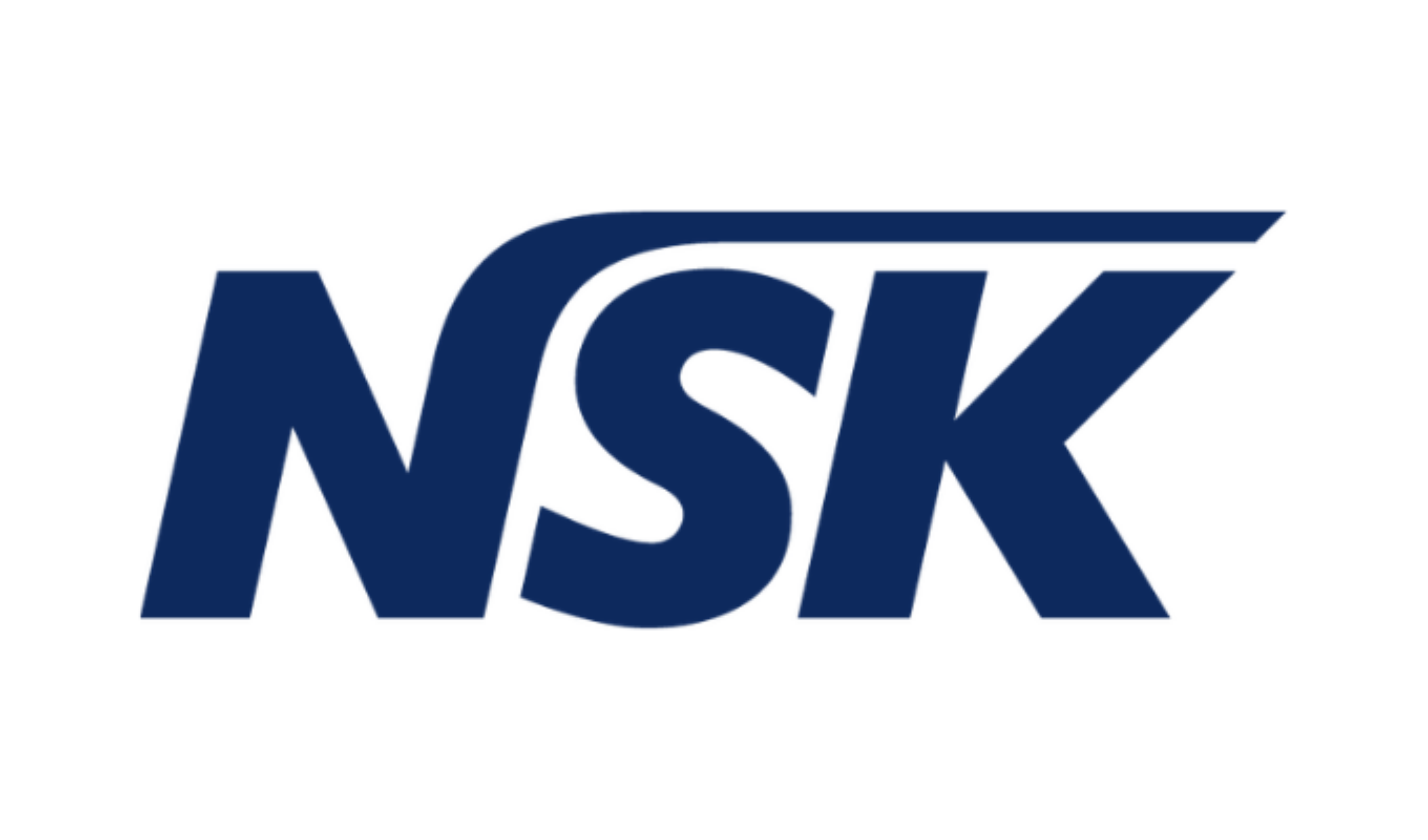NSK Logo Website
