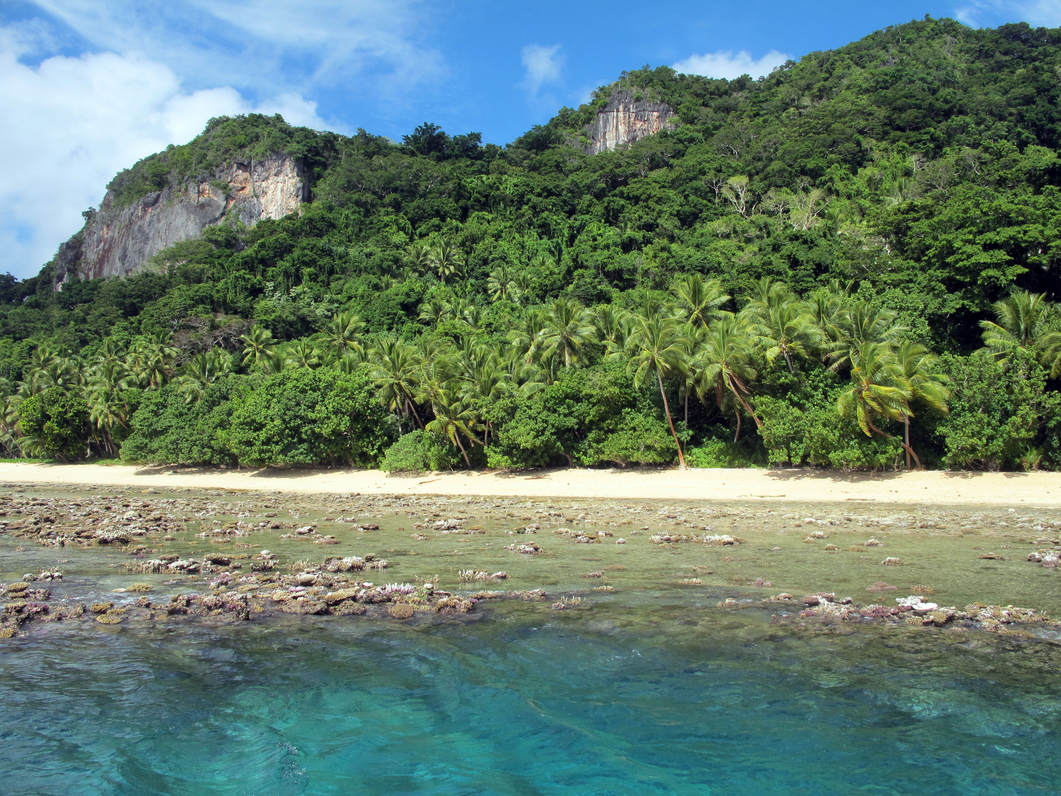 20130625 Vanuabalavu S Jupiter 21