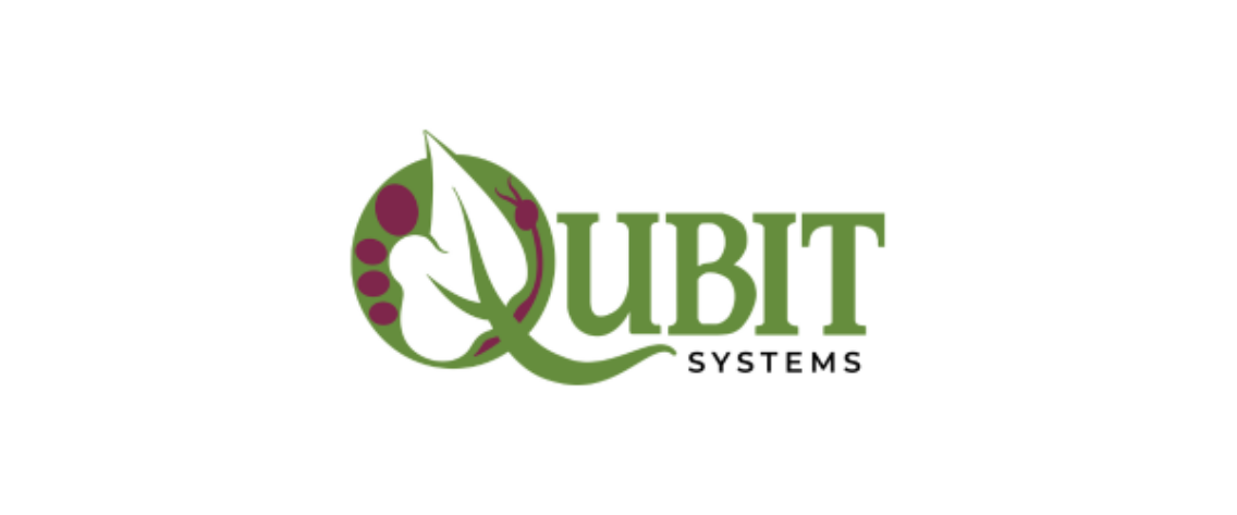 Qubit 600x250