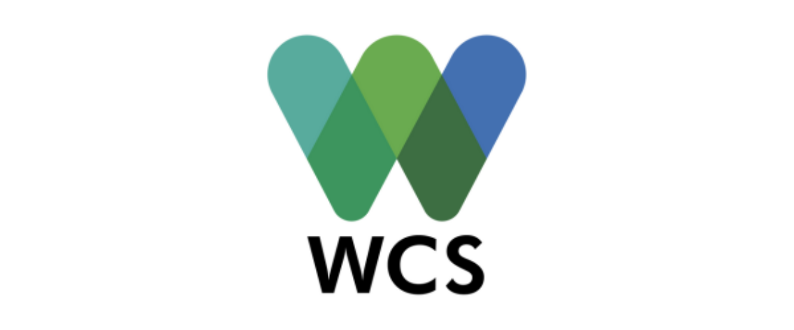 WCS 600x250