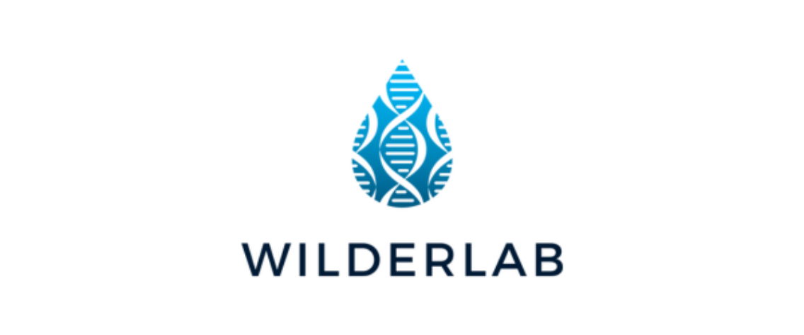 Wilderlab 600x250
