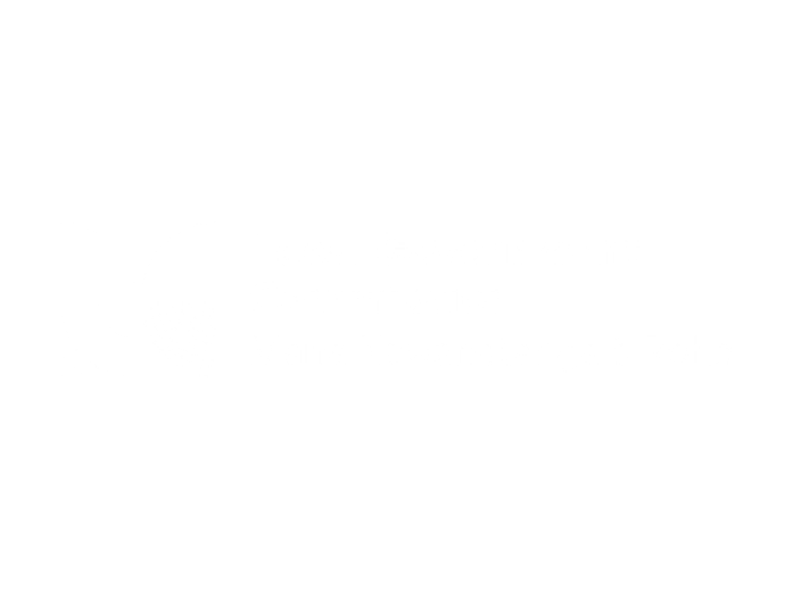Super Local 2026 Local Government Commission 1