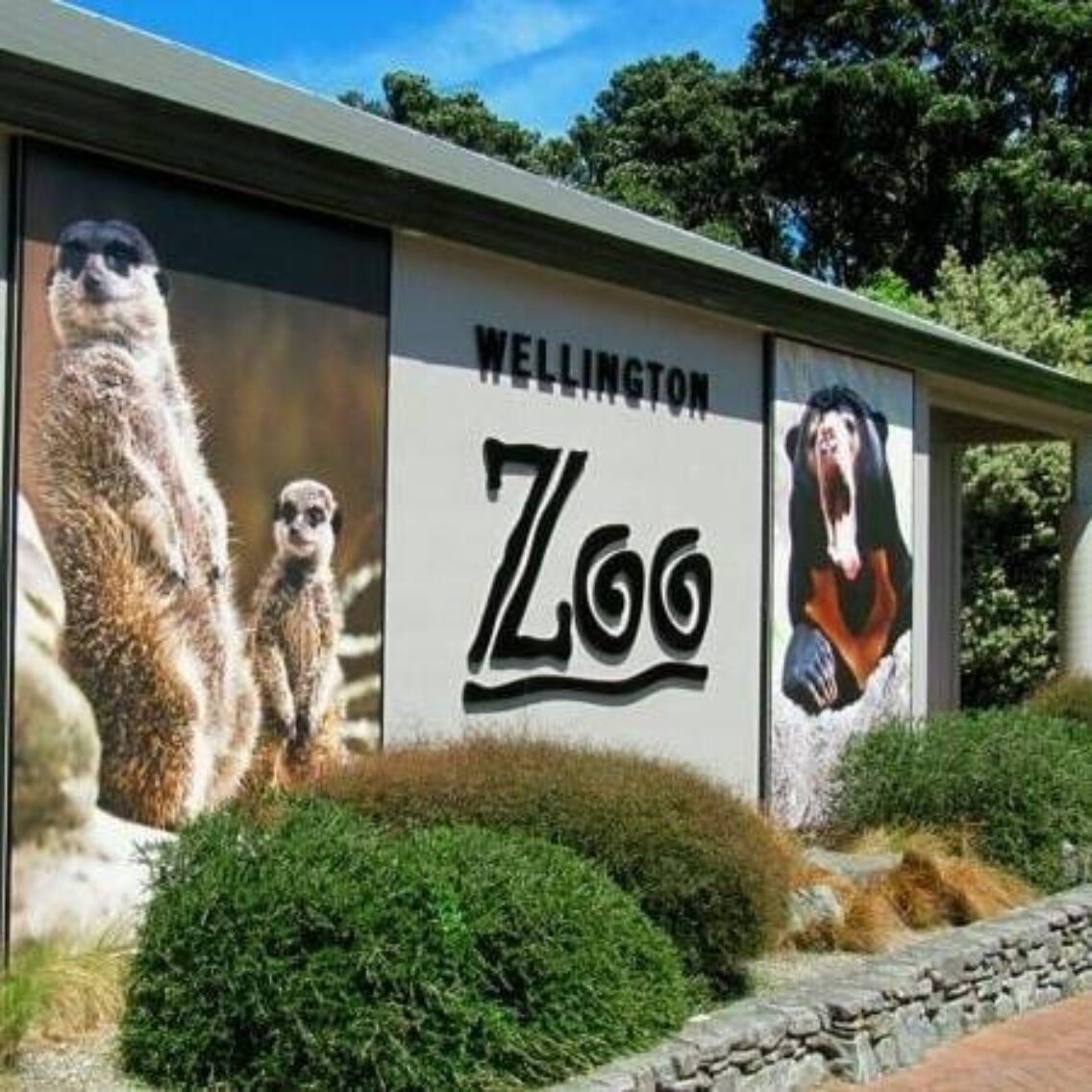 NRHC24 Wellington zoo