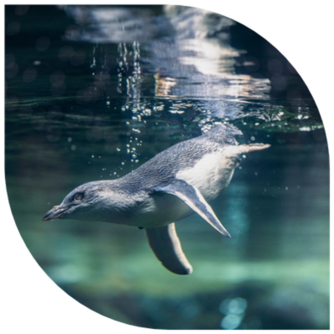 SB26 International Antarctic Centre