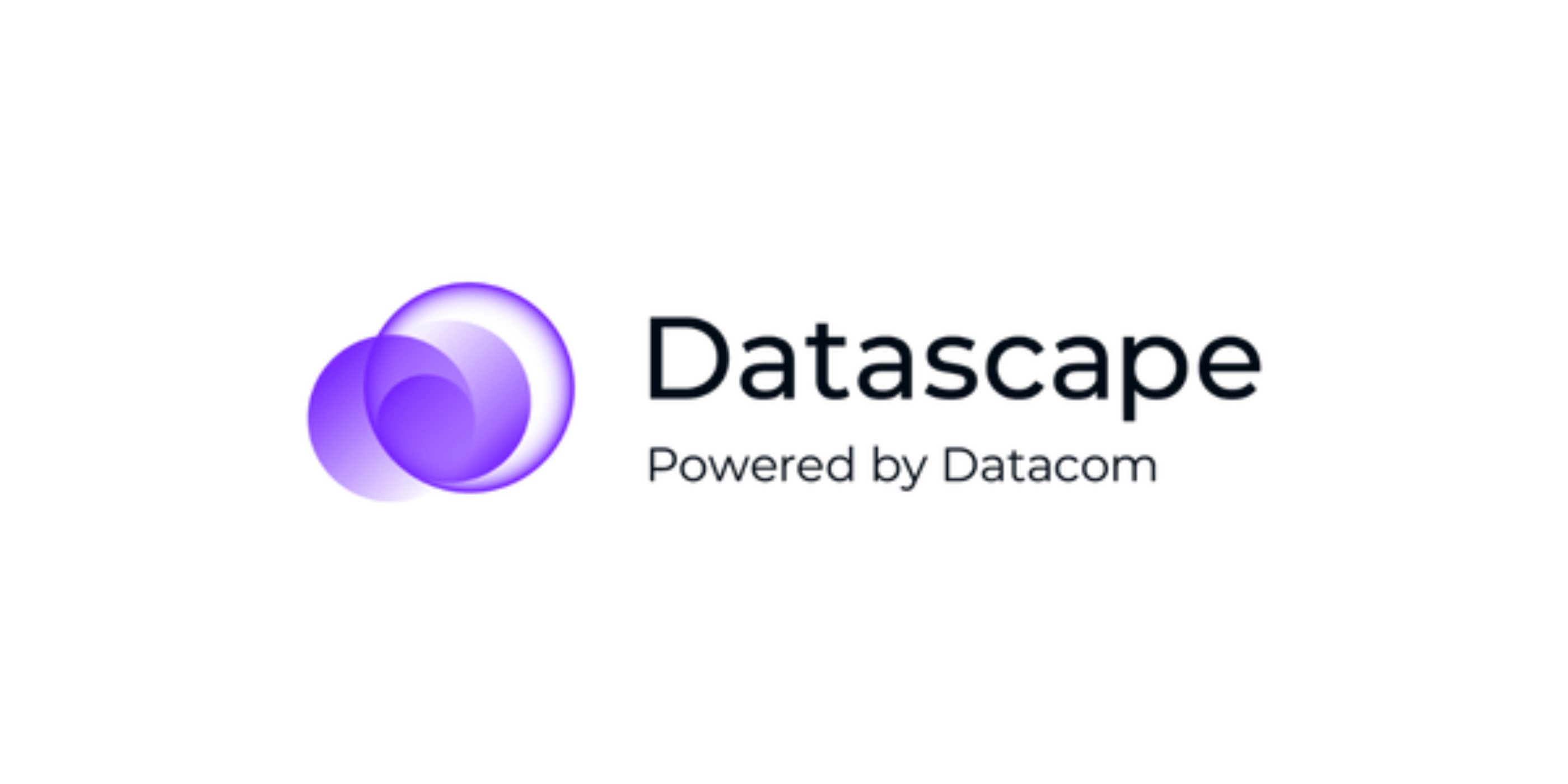 Datascape 600x300 V2