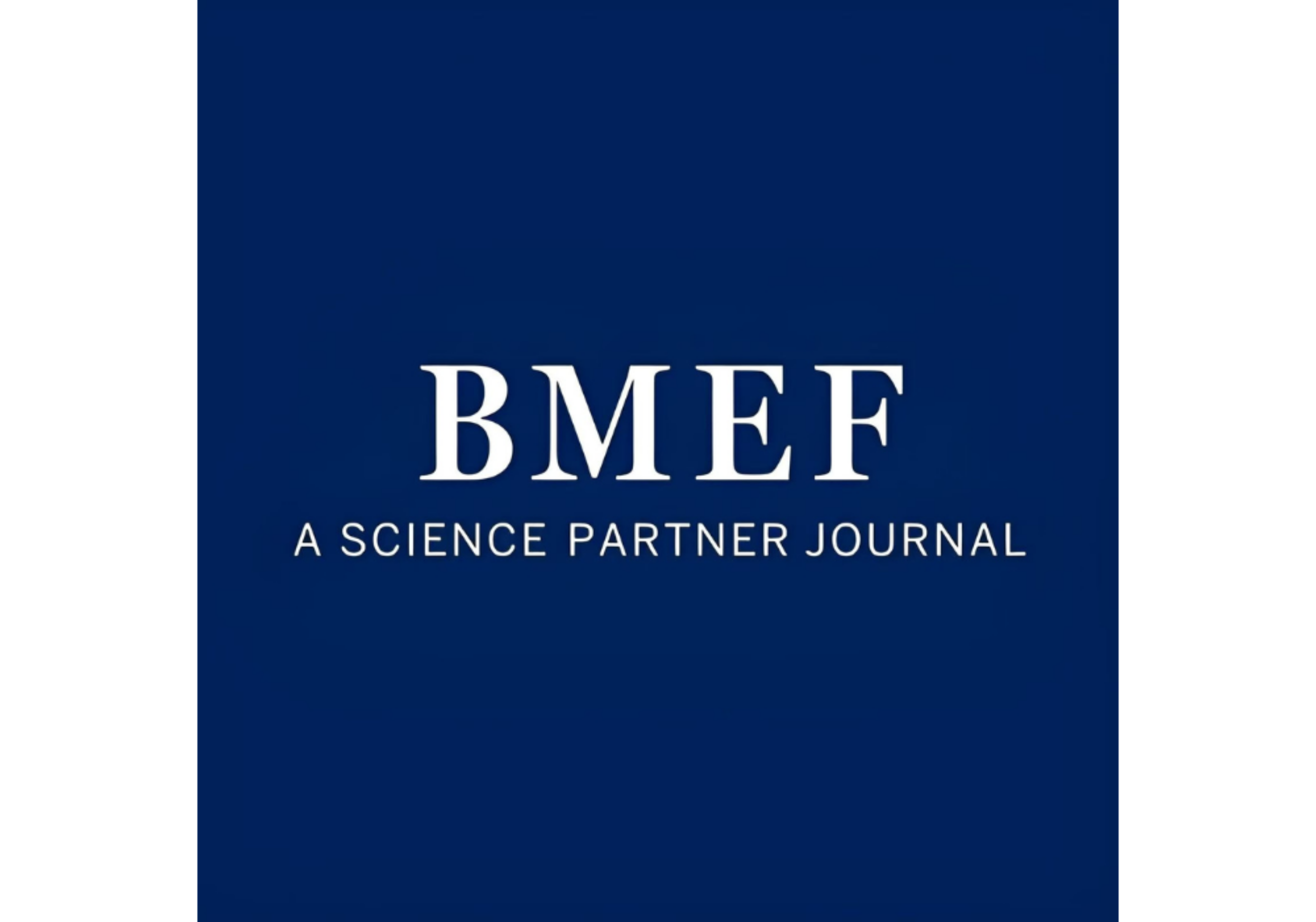 TERMIS BMEF Logo