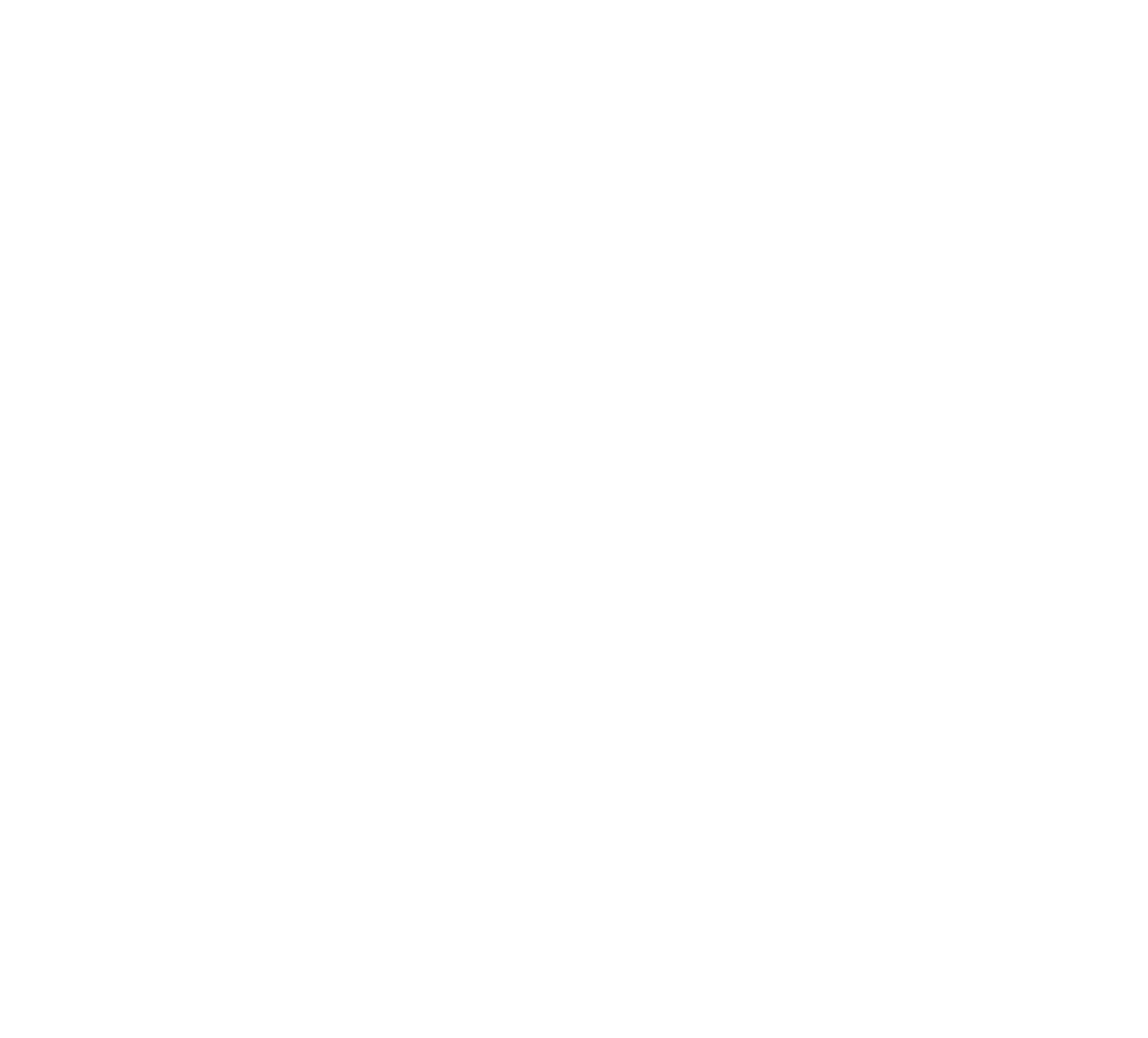 PMAANZ Logo 04