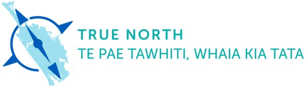 Horizontal line text large RGB