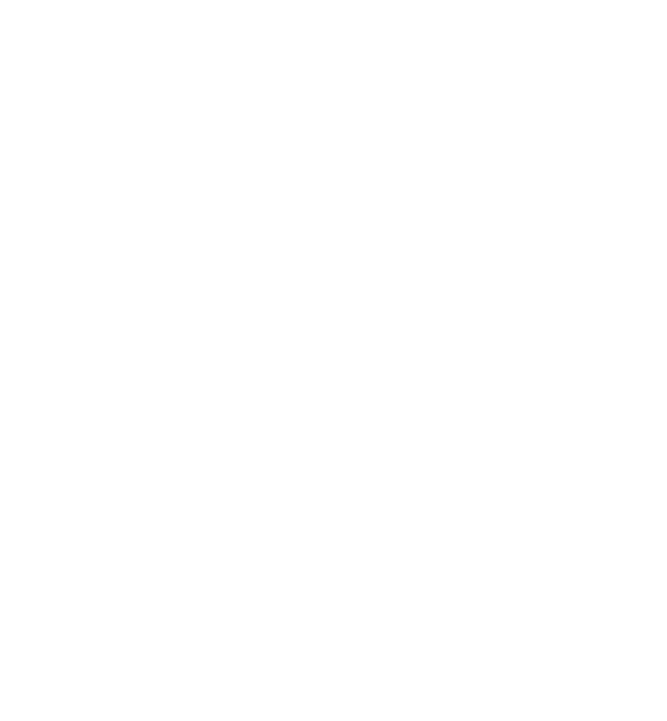 PMAANZ Logo 2026 01